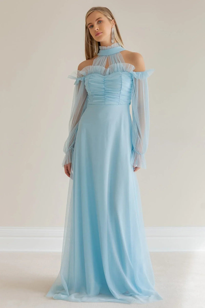 Women's Baby Bluesi Tulle Draped Plus Size Evening Gown