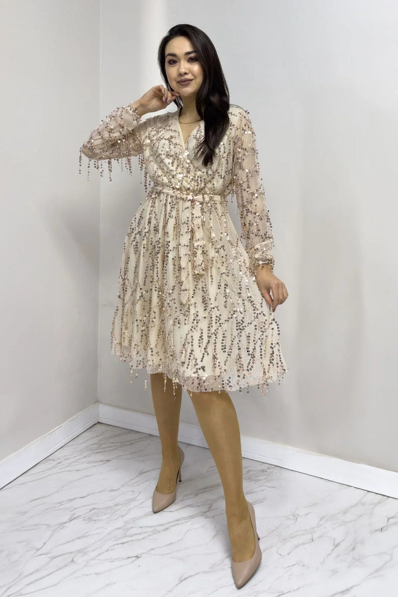 Women's Pulpayet V-Neck Tulle Plus Size Evening Gown-Gold