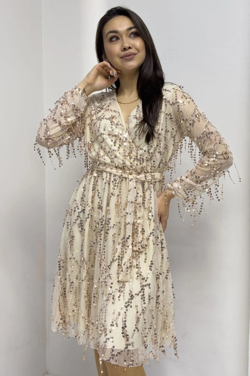 Women's Pulpayet V-Neck Tulle Plus Size Evening Gown-Gold