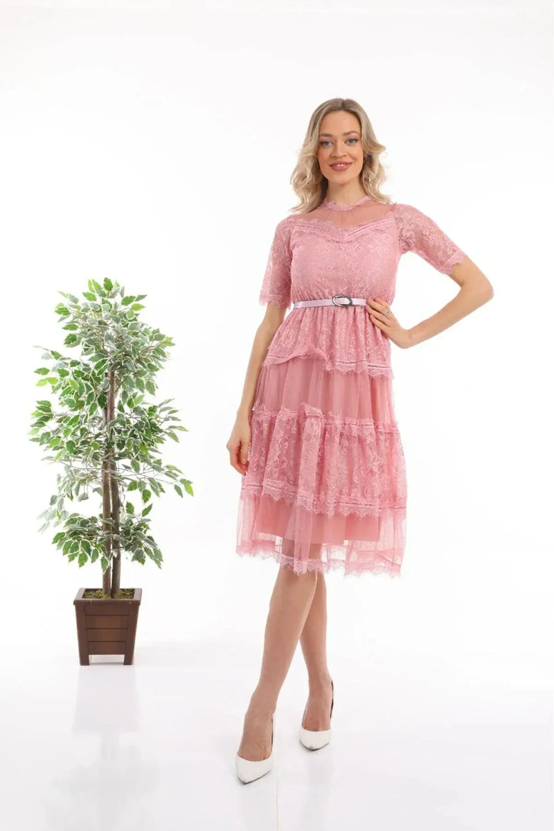 Women's Pink Short Sleeve Guipure Evening Gown